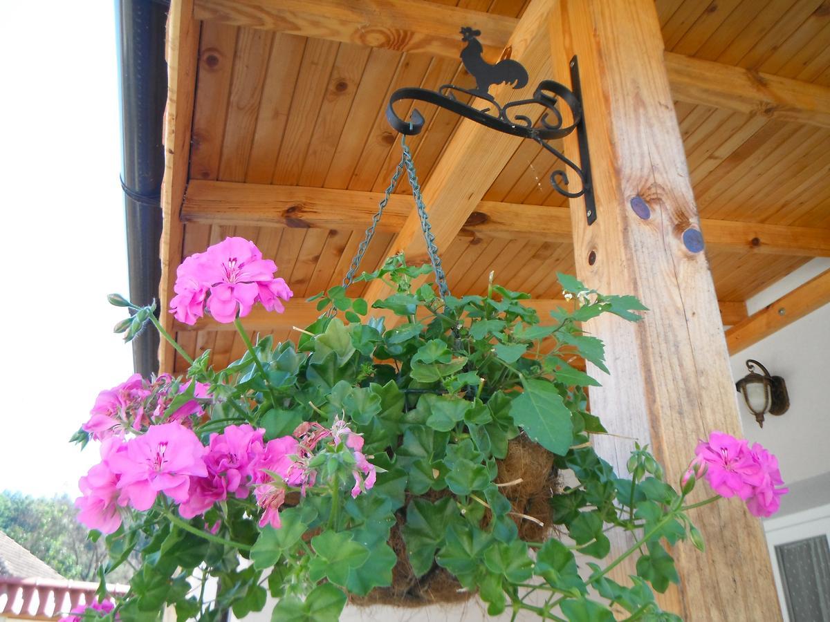 Villa Ani Gorna Kovachitsa Zewnętrze zdjęcie