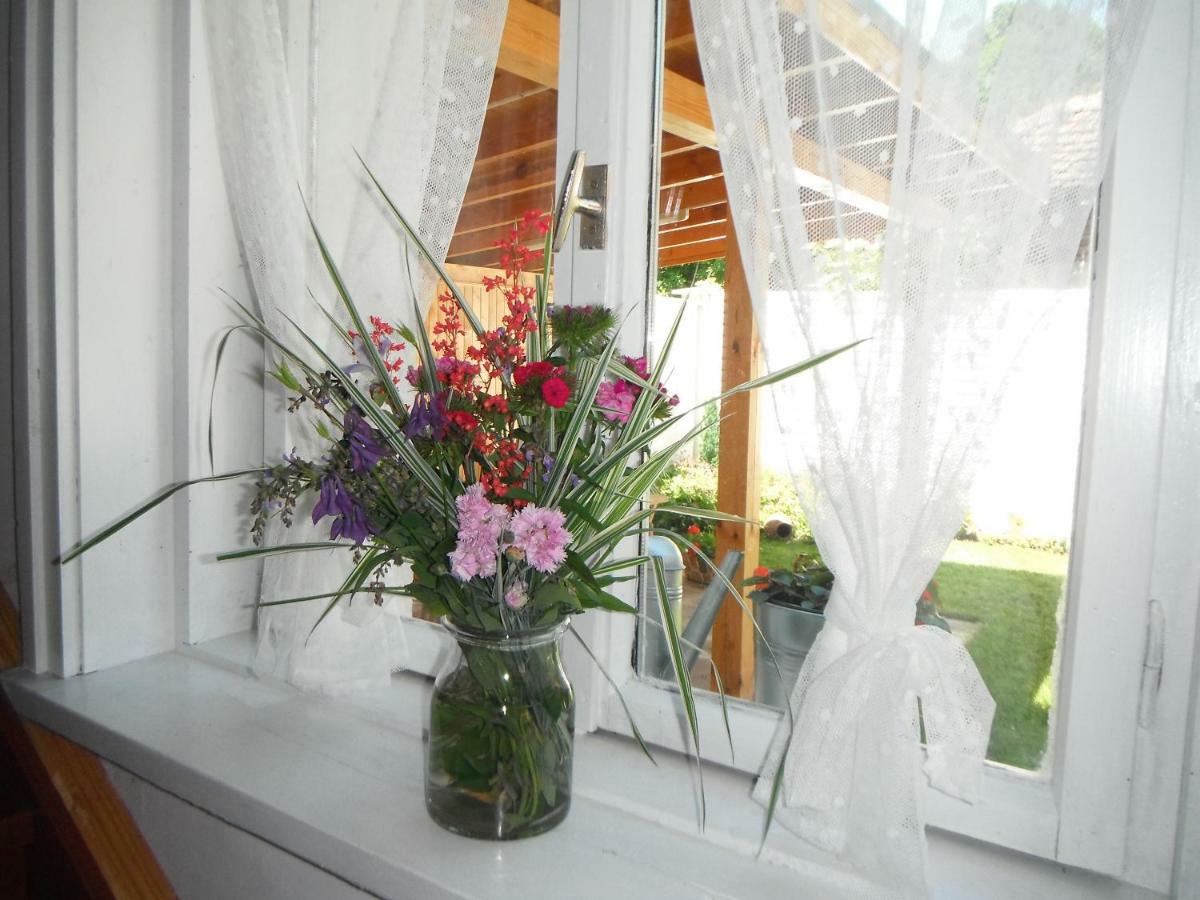 Villa Ani Gorna Kovachitsa Zewnętrze zdjęcie